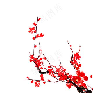 冬天梅花樱花新年,免抠元素