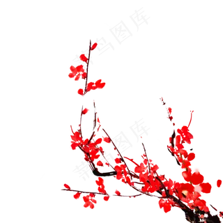 冬天梅花樱花新年,免抠元素