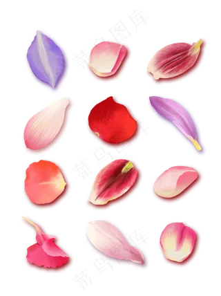 手绘花卉花瓣浪漫唯美植物写实插