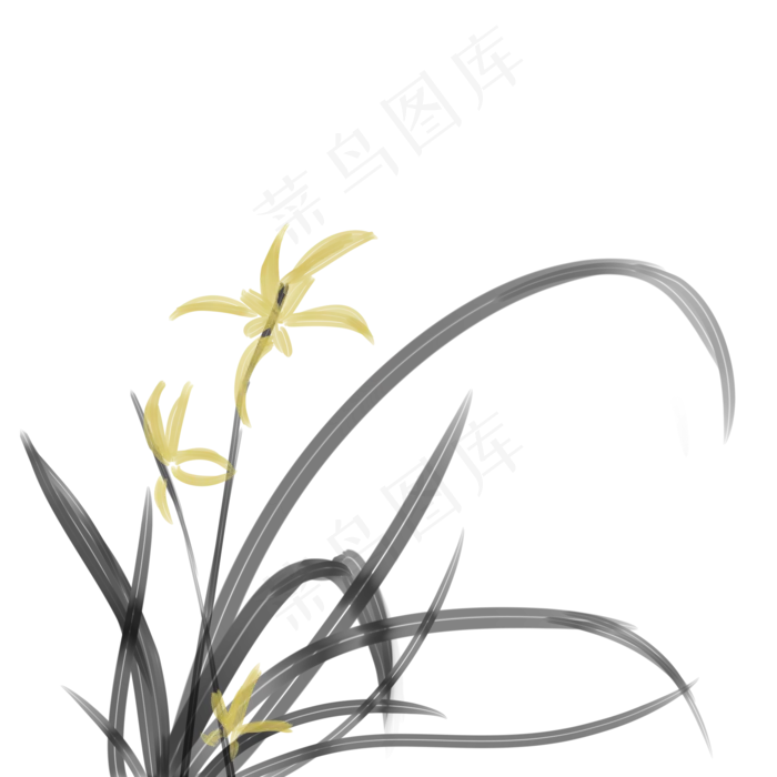 兰花(2000X2000(DPI:299))psd模版下载