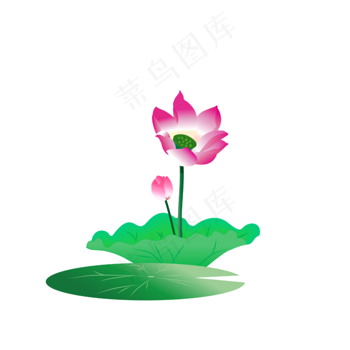 手绘卡通粉色荷花