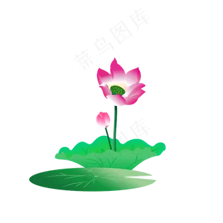手绘卡通粉色荷花