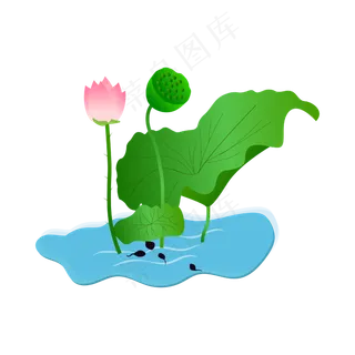 矢量荷叶荷花主题手绘
