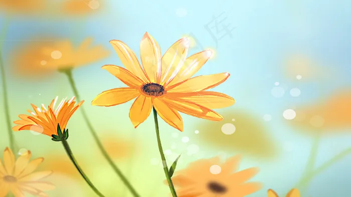 风中摇曳的黄色波斯菊花朵(2880*1620px 300 dpi )psd模版下载