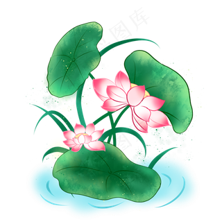 夏季小清新荷花荷叶免抠图PNG