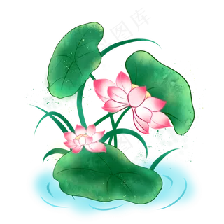 夏季小清新荷花荷叶免抠图PNG