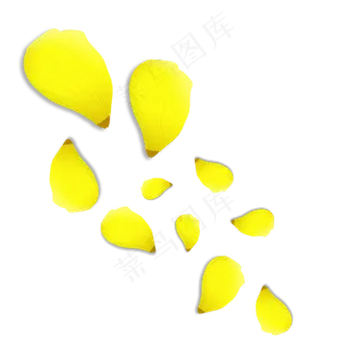 黄色花瓣