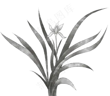水墨兰花兰草
