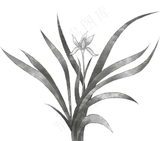 水墨兰花兰草