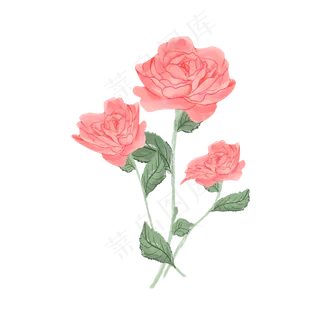 玫瑰花花束叶子求婚田园免扣