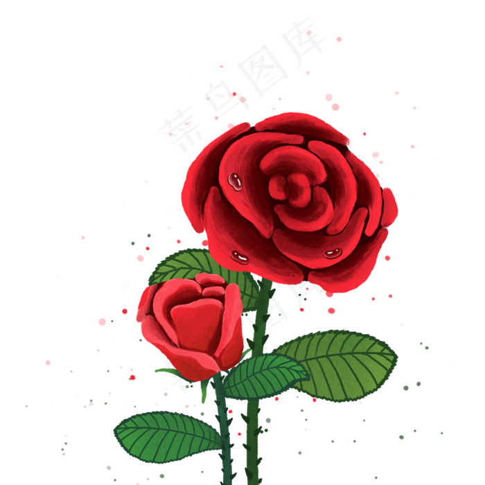 红色玫瑰花两朵玫瑰(2500X2500(DPI:300))psd模版下载
