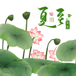 中国传统节气夏至