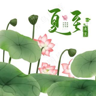 中国传统节气夏至