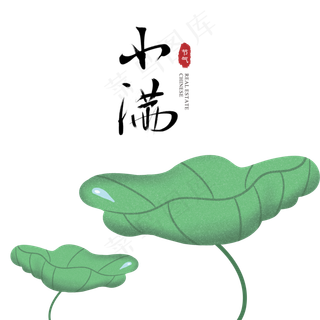 立夏池塘荷叶元素