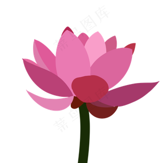 粉红色荷花装饰