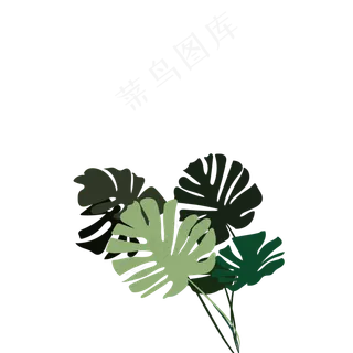 扇子形状的芭蕉叶子免扣图