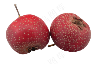 两个开胃山楂