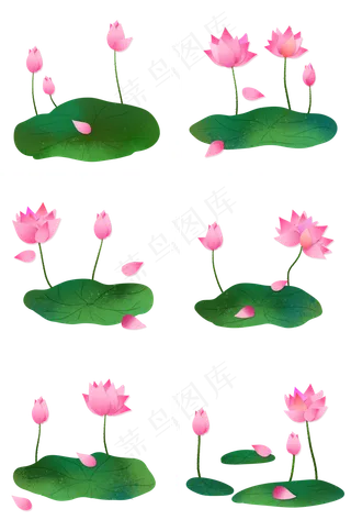 二十四节气之大暑荷叶荷花