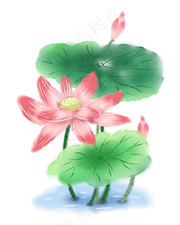 水彩荷花PNG免抠图