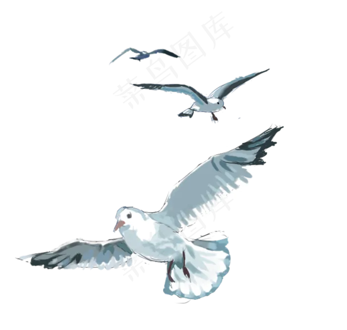 手绘动物海鸥小清新,免抠元素(791X753(DPI:300))psd模版下载