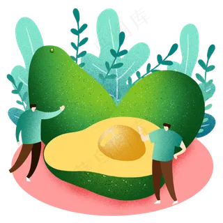 夏季水果牛油果