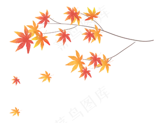 枫叶树叶落叶秋天红叶子树枝,免抠元素