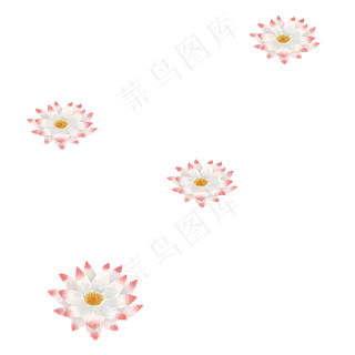 时尚的荷花免抠图