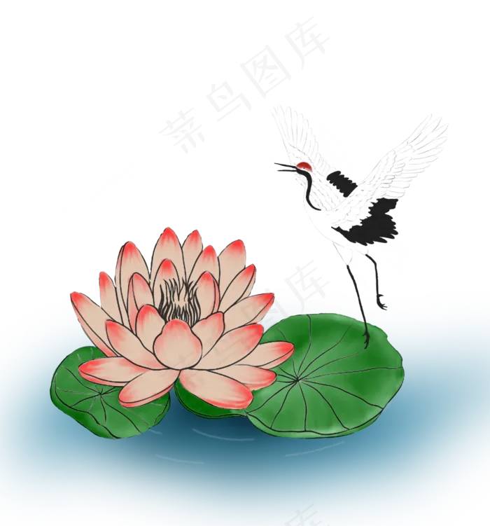 站在睡莲上的仙鹤(2000X2000(DPI:300))psd模版下载