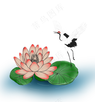 站在睡莲上的仙鹤