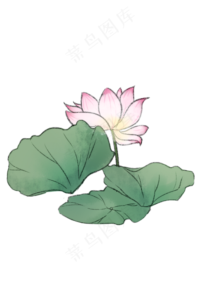 手绘夏日荷花PNG下载(2480X3508(DPI:300))psd模版下载