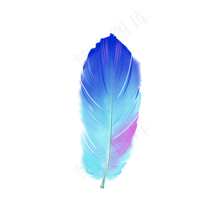 中国分手绘漂亮羽毛,免抠元素