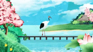 夏季荷花池塘樱花桥梁上的仙鹤横图