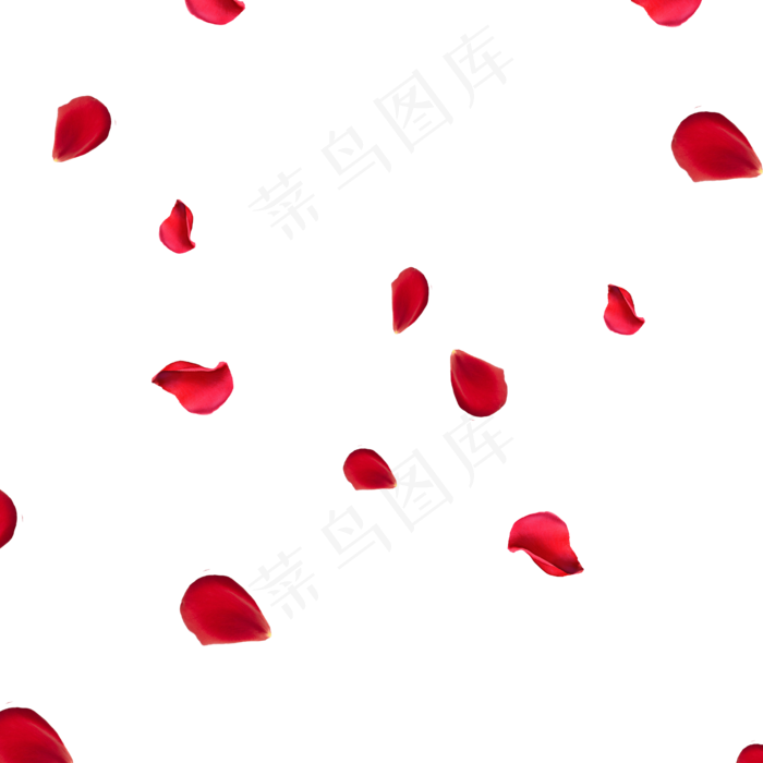 漂浮玫瑰花瓣