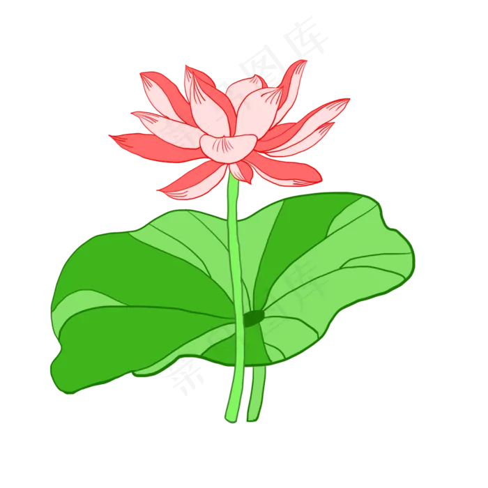 手绘荷花花卉花束(2000X2000(DPI:300))psd模版下载