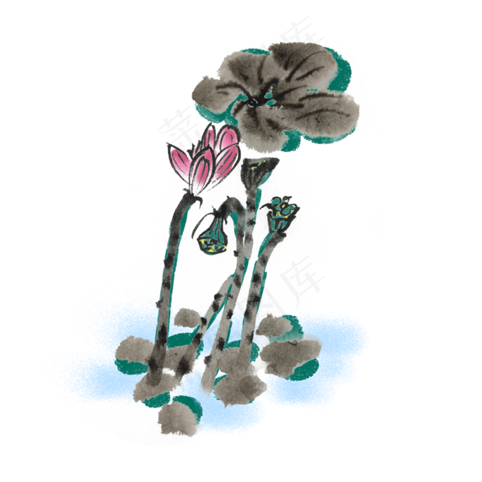 夏天荷花荷叶中国风手绘插画