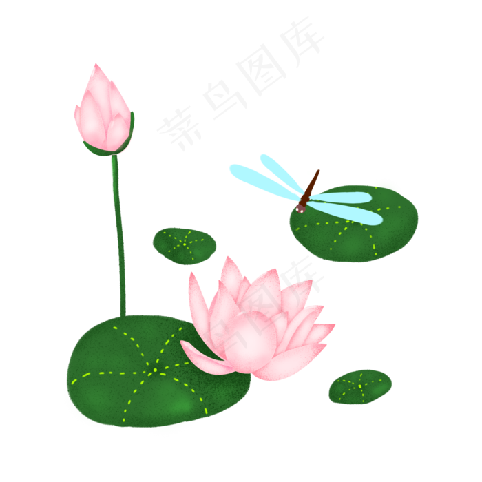 夏季节气荷花荷叶蜻蜓  