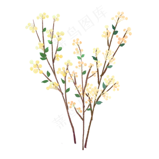 春天小清新花束装饰植,免抠元素