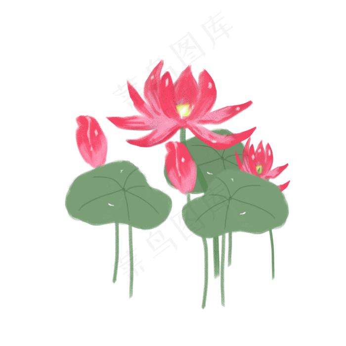 手绘荷花png素材(2000X2000(DPI:72))psd模版下载