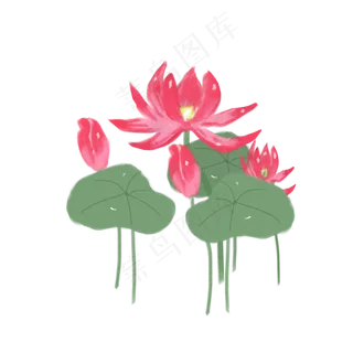 手绘荷花png素材