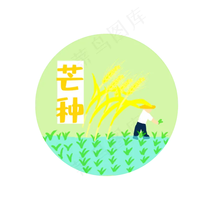 二十四节气芒种小麦农作装饰图案(2000X2000(DPI:300))psd模版下载