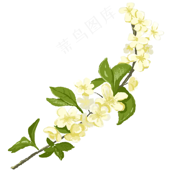 一支清新花卉古风(2000X2000(DPI:300))psd模版下载