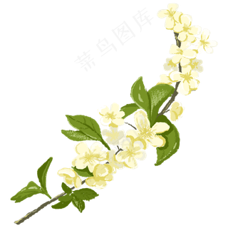 一支清新花卉古风