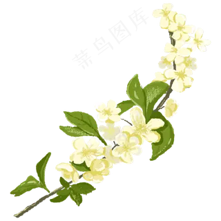 一支清新花卉古风