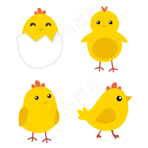 小鸡手绘卡通插图,免抠元素