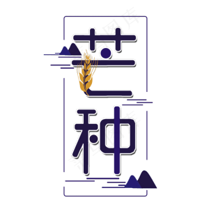 芒种创意字体设计