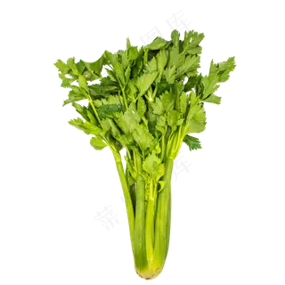 绿色芹菜蔬菜食物,免抠元素