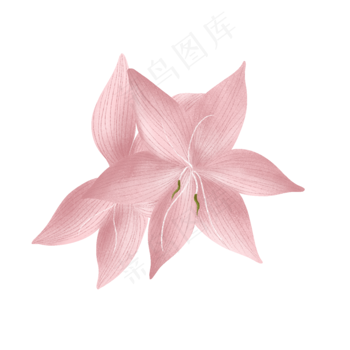 春天里的两朵杜鹃花(2000X2000(DPI:300))psd模版下载