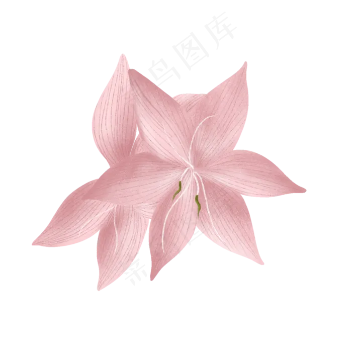 春天里的两朵杜鹃花(2000X2000(DPI:300))psd模版下载