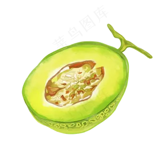 手绘绿色水果哈密瓜