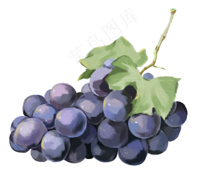 紫葡萄水果